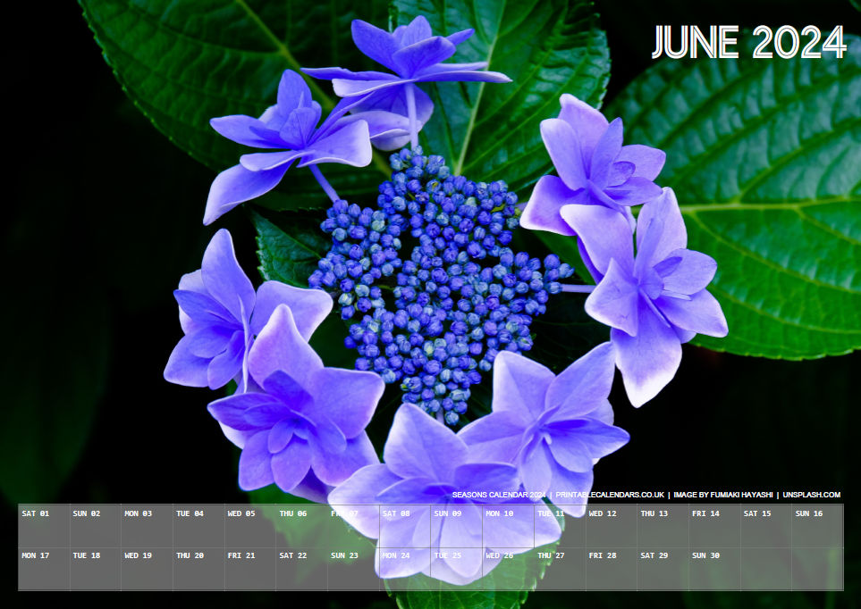 Seasons Calendar - June 2024 - Free to Print